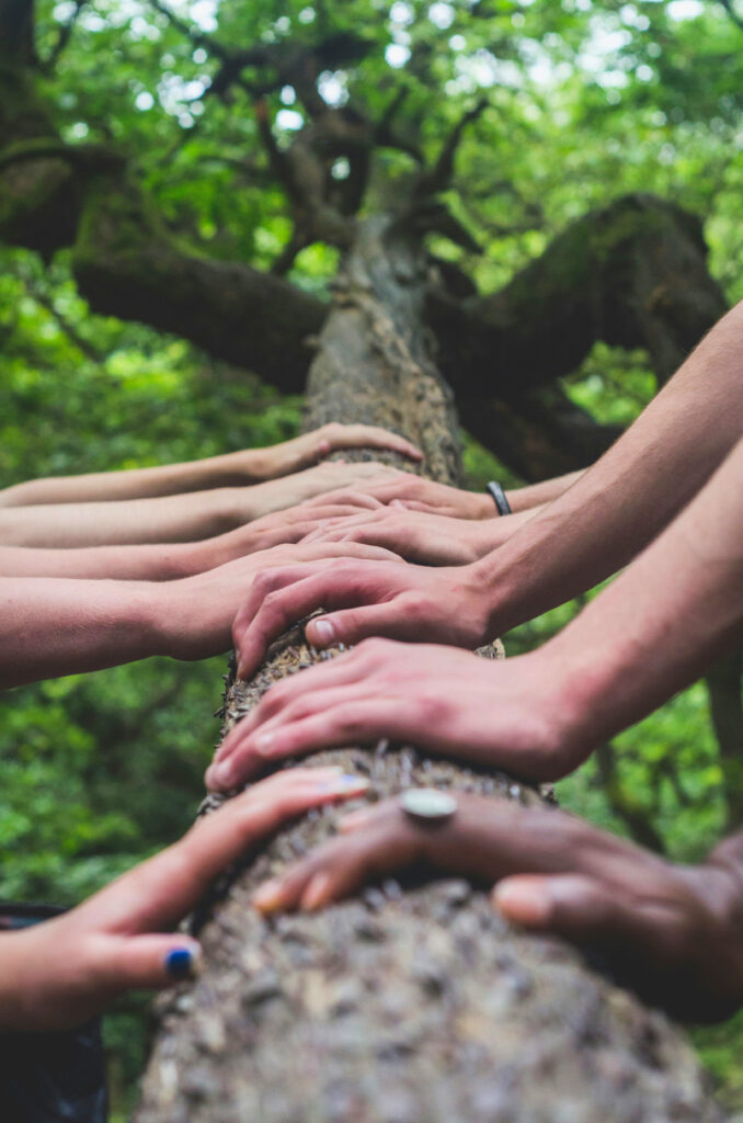 Image of people's hands lined up on a tree trunk